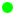 Неоновый зеленый
