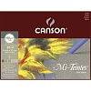 Альбом Сanson Mi-Teintes, для пастели, склеенный, 30 листов, 160 гр/м2, 5 серых цветов